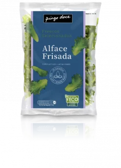 Alface Frisada Embalada
