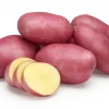 Batata Vermelha