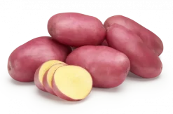 Batata Vermelha