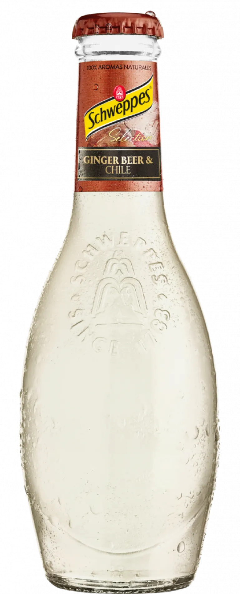 Bebida Ginger Beer