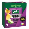 Bolsa de Fruta Maçã, Ananás e Maracujá Pack 4