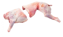 Borrego em Quartos