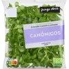 Canónigos