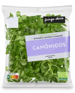 Canónigos