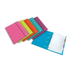 Capa A4 com Argolas e Folhas em 4 Separadores 1un