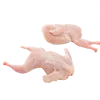 Codornizes