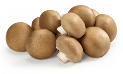 Cogumelos Portobello Pequenos Embalados
