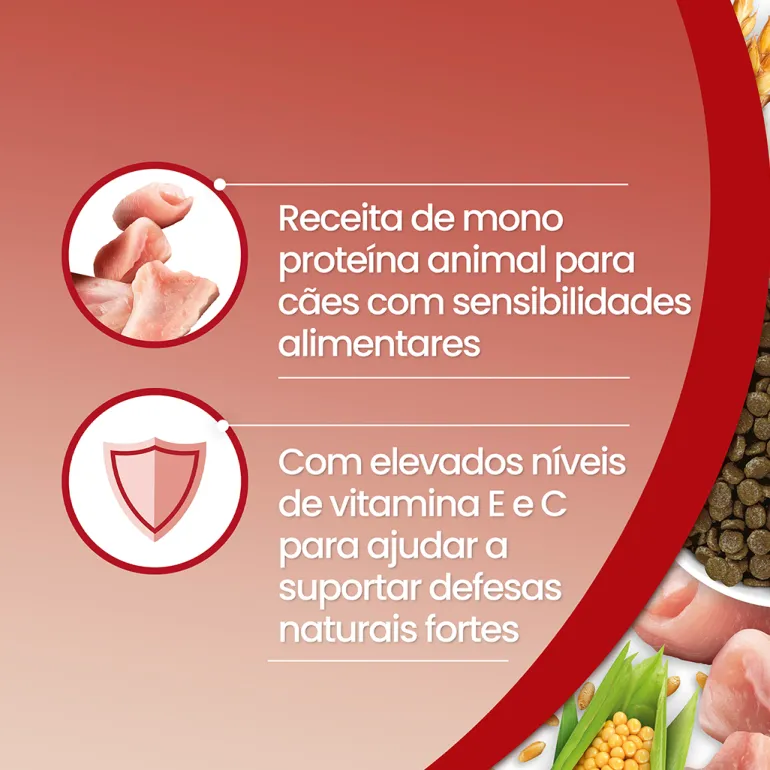Comida Húmida para Cão com Perú