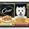 Comida Húmida para Cão Seleção de Carnes em Gelatina