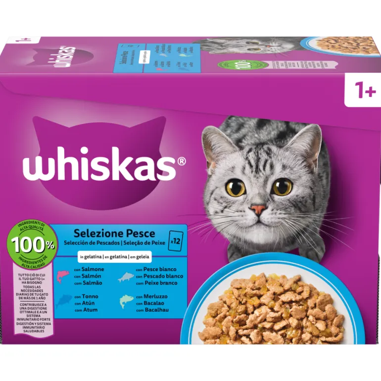 Comida Húmida para Gato Adulto Peixes em Gelatina