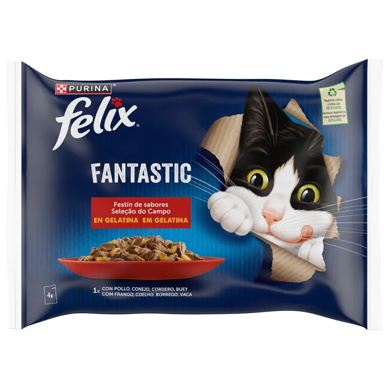 Comida Húmida para Gato Fantastic Carne em Gelatina