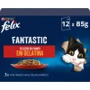 Comida Húmida para Gato Fantastic Seleção do Campo em Gelatina