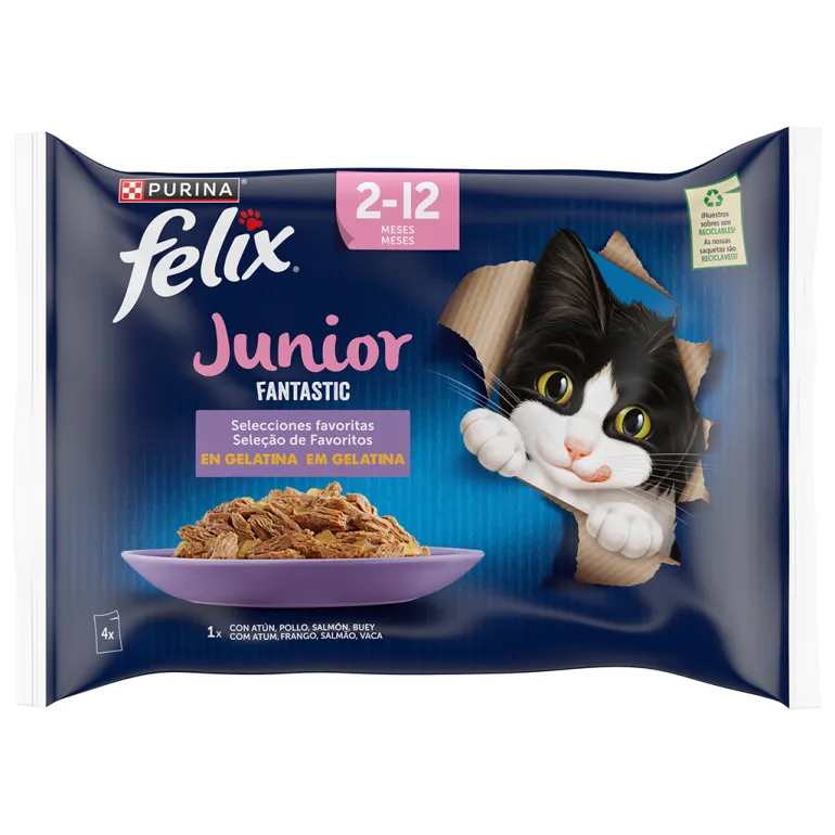 Comida Húmida para Gato Júnior Fantastic Favoritos em Gelatina