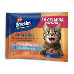 Comida Húmida para Gato Salmão em Gelatina