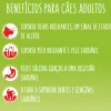 Comida Seca para Cão Active com Vaca