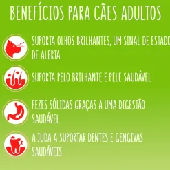 Comida Seca para Cão Active com Vaca