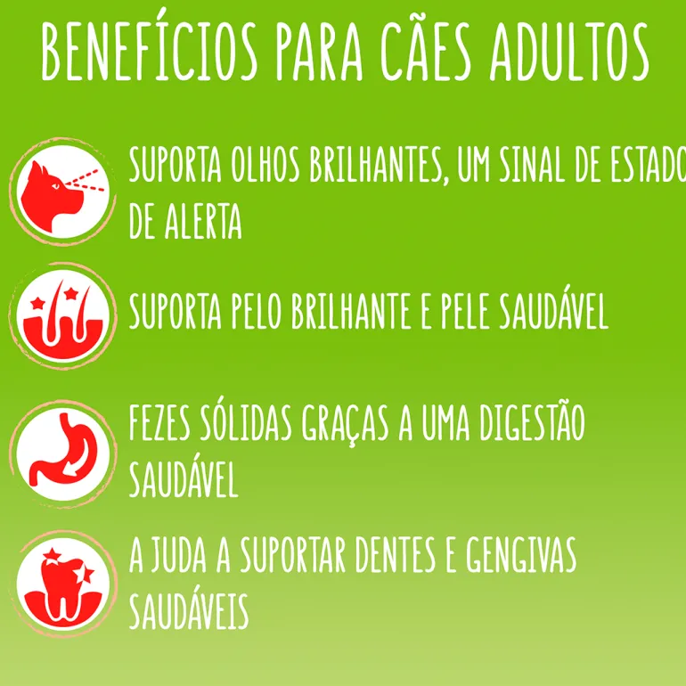 Comida Seca para Cão Active com Vaca