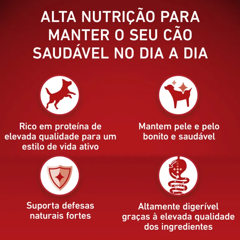 Comida Seca para Cão Adulto +10kg com Vaca
