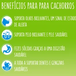 Comida Seca para Cão Júnior com Frango