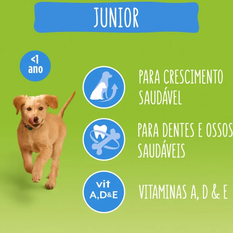 Comida Seca para Cão Júnior com Frango