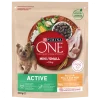 Comida Seca para Cão Mini Active com Frango