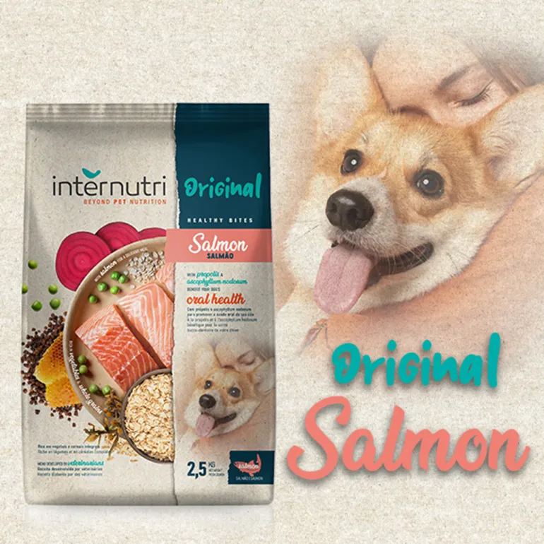 Comida Seca para Cão Original Salmão