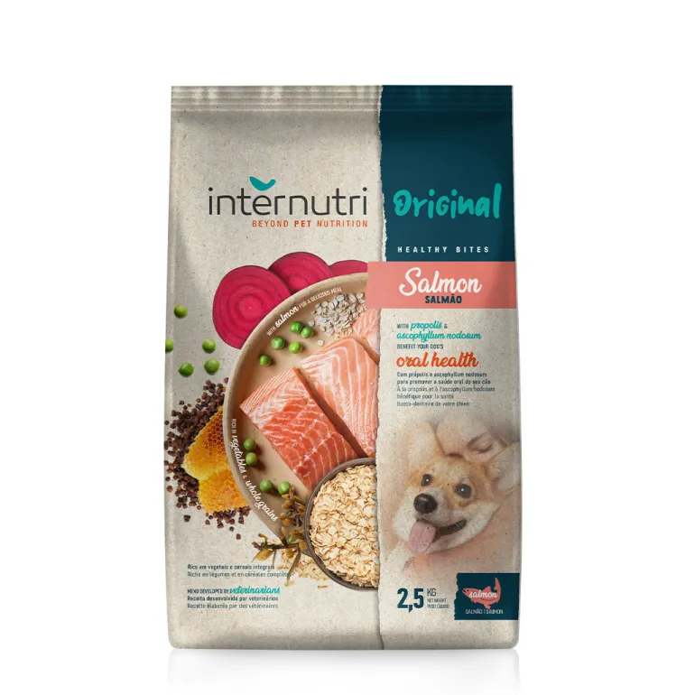 Comida Seca para Cão Original Salmão