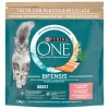 Comida Seca para Gato Adulto com Salmão