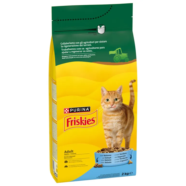 Comida Seca para Gato com Salmão