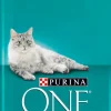 Comida Seca para Gato Esterilizado com Truta