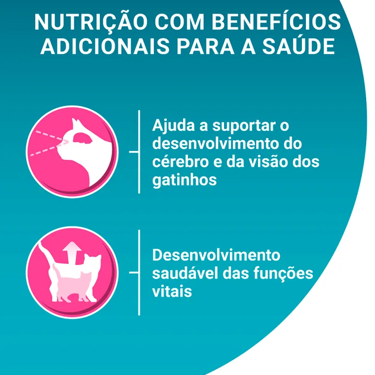 Comida Seca para Gato Júnior com Frango