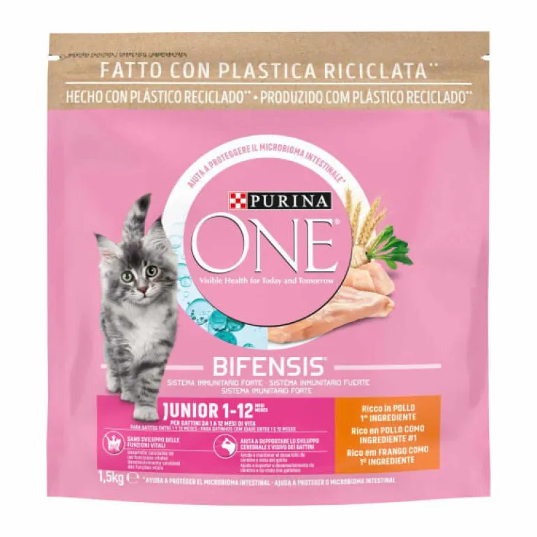 Comida Seca para Gato Júnior com Frango