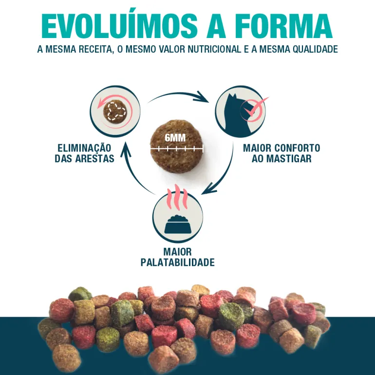 Comida Seca para Gato Vitalitycat