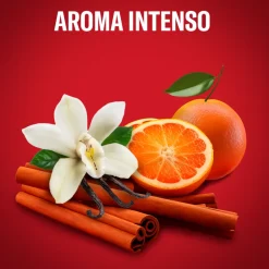 Desodorizante Stick Original