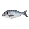 Dourada Fresca Nacional +600g