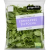 Espinafres Embalados