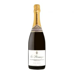 Espumante Bruto Extra Reserva São Domingos