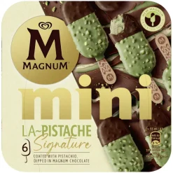 Gelados Mini Signature Pistáchio e Chocolate