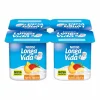 Iogurte Aroma Tutti-Frutti Pack 4