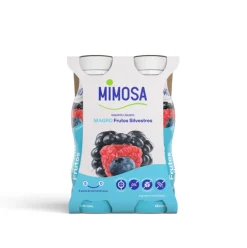 Iogurte Líquido Magro Frutos Silvestres Pack 4