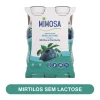 Iogurte Líquido Magro sem Lactose Mirtilo e Chá Verde Pack 4