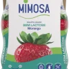 Iogurte Líquido sem Lactose Morango Pack 4
