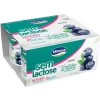 Iogurte Magro sem Lactose Mirtilo Pack 4