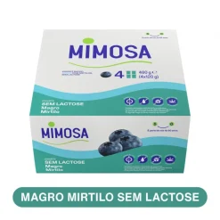 Iogurte Magro sem Lactose Mirtilo Pack 4