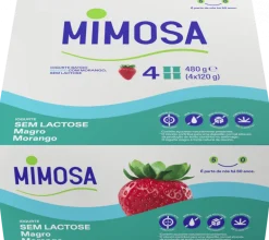 Iogurte Magro sem Lactose Morango Pack 4