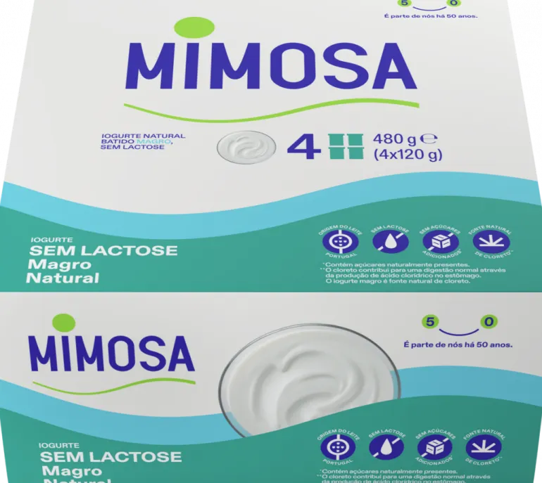 Iogurte Magro sem Lactose Natural Pack 4