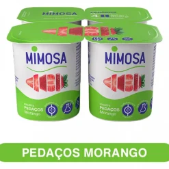 Iogurte Pedaços de Morango Pack 4