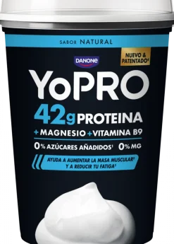 Iogurte Proteína Big Pot Natural