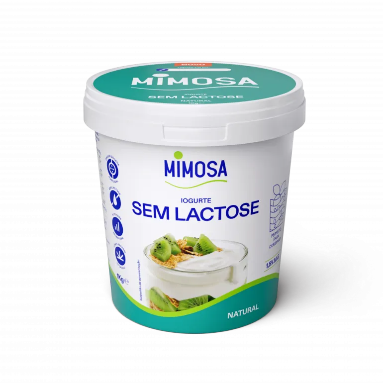 Iogurte sem Lactose Natural