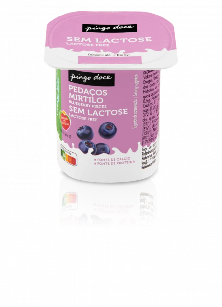 Iogurte sem Lactose Pedaços Mirtilo
